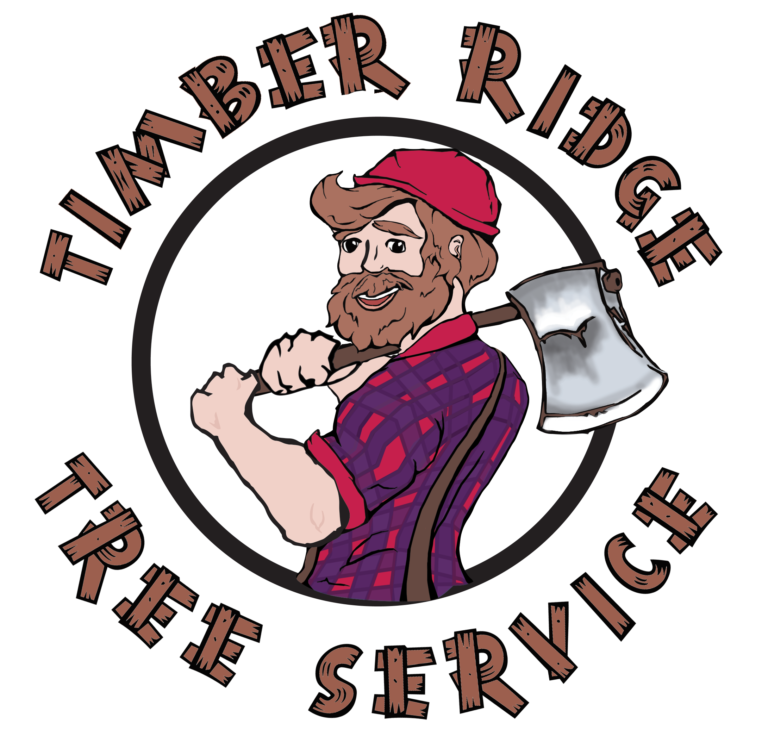 What is An Arborist? Timber Ridge Tree Service Tree Pruning, Hedge